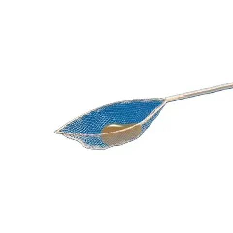 Disposable Endoscopic Grasping Forceps with Net