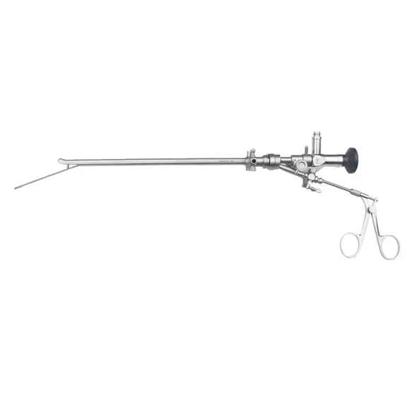 Urology instruments/ cystoscopy manipulator with two working channel