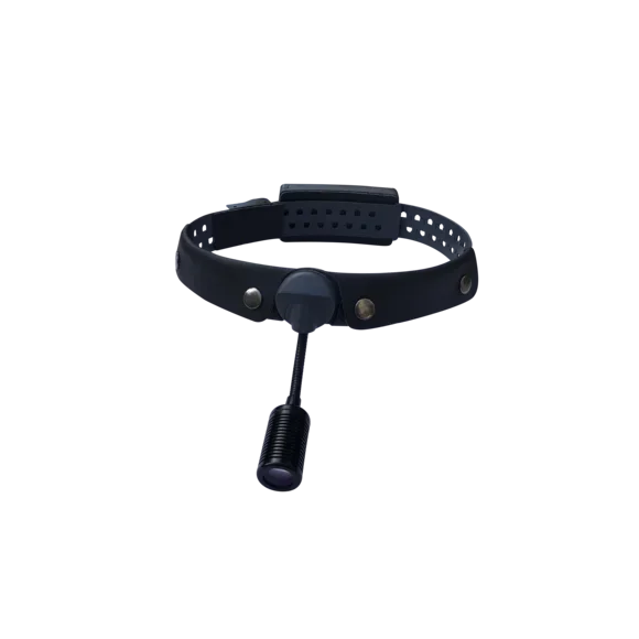 blood vessel surgery LED head light /8W surgical LED light source , Loop adjustable