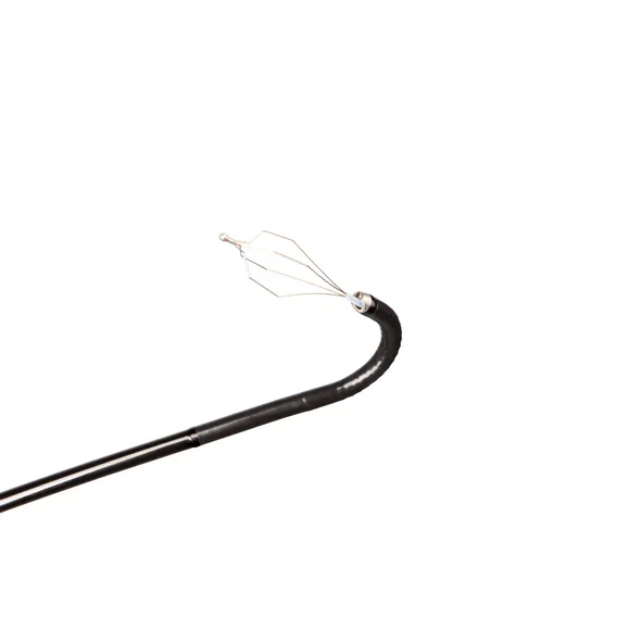 Flexible Endoscope/ Flexible FIBER CHOLEDOCHOSCOPES