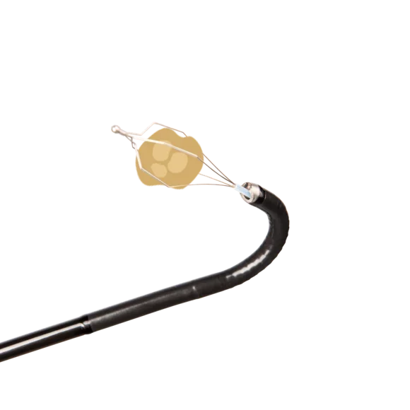 Flexible Endoscope/ Flexible FIBER CHOLEDOCHOSCOPES