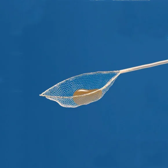 Disposable Grasping Forceps with Net
